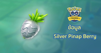 ข้อมูล Silver Pinap Berry
